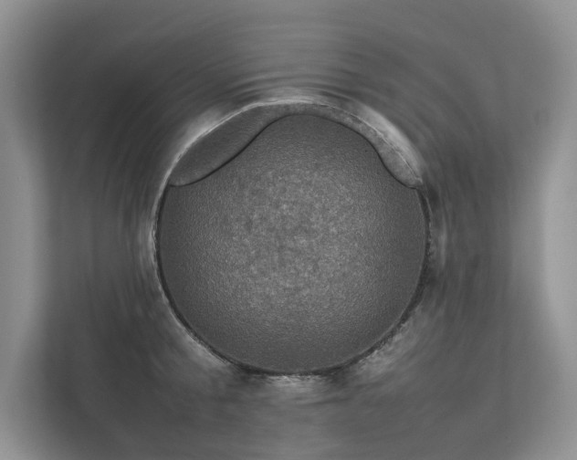X0000111780805200907231122