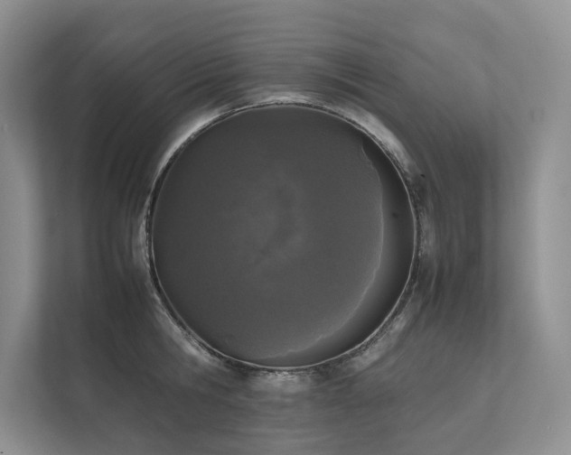 X0000111780806200907231122