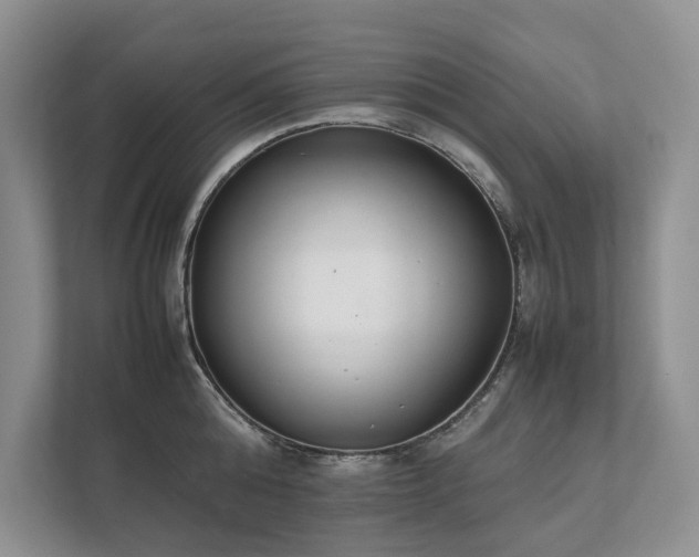 X0000111780808200907231121