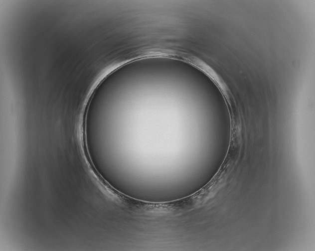 X0000111780811200907231121