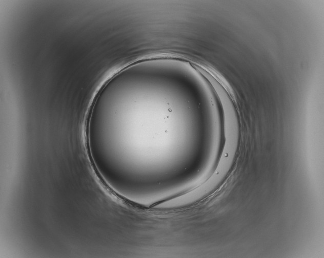 X0000111780813200907231121
