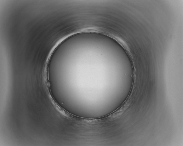 X0000111780816200907231121