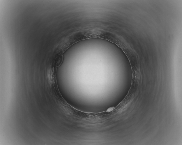X0000111780818200907231121