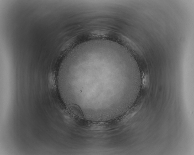 X0000111780819200907231121