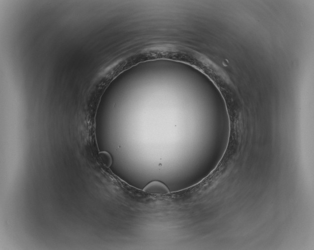 X0000111780822200907231121