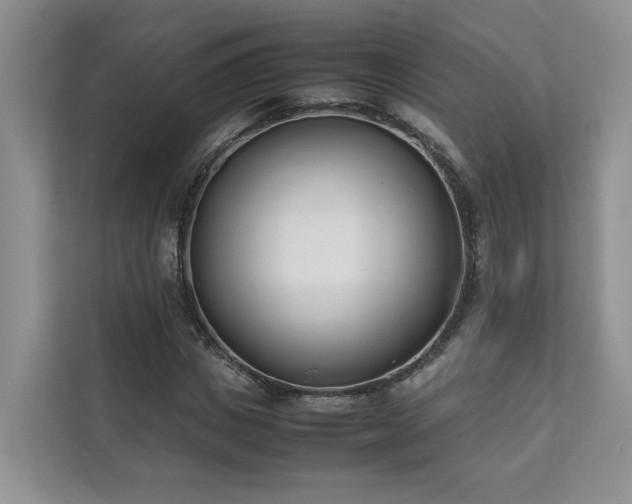 X0000111780825200907231121