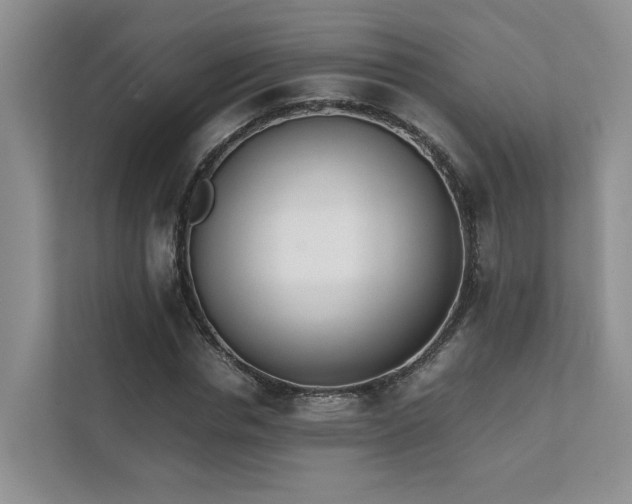X0000111780826200907231121