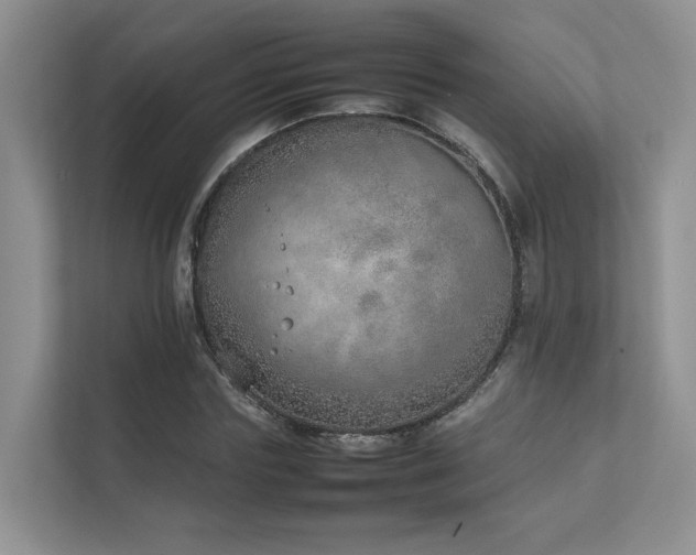 X0000111780827200907231121