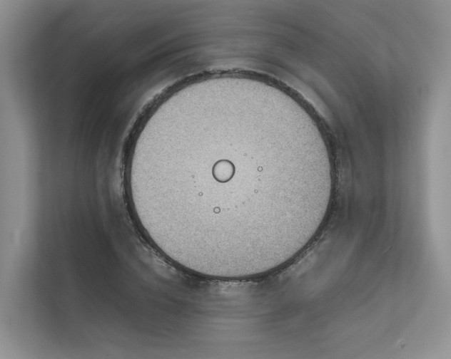 X0000111780832200907231121