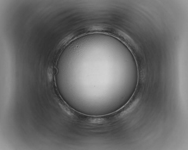 X0000111780833200907231121