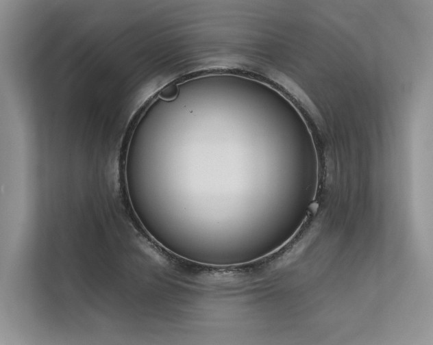 X0000111780834200907231121