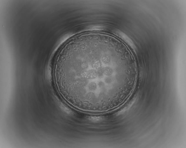 X0000111780835200907231121