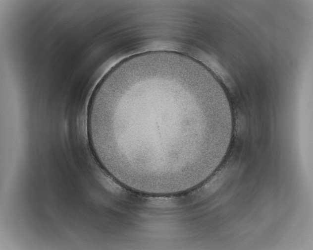 X0000111780836200907231121