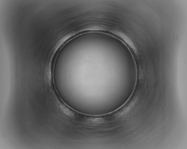 X0000111780837200907231121