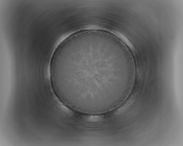X0000111780839200907231121