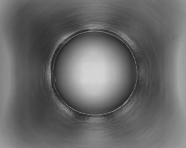 X0000111780840200907231121