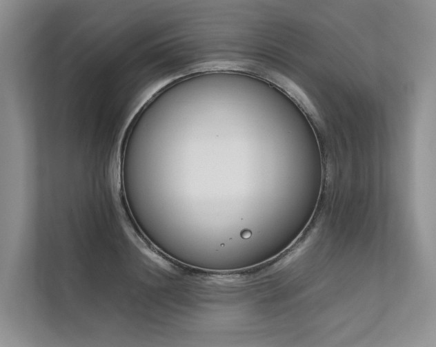 X0000111780844200907231121