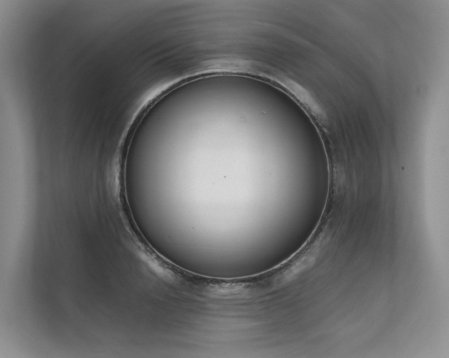 X0000111780846200907231121