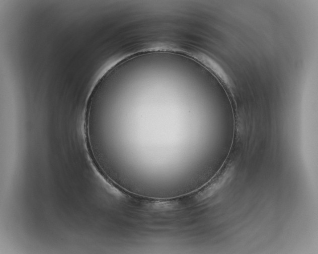 X0000111780847200907231121