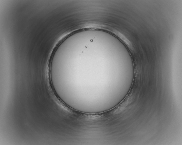 X0000111780848200907231121
