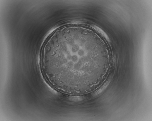 X0000111780855200907231121