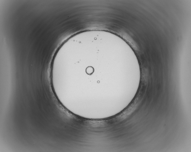 X0000111780856200907231121