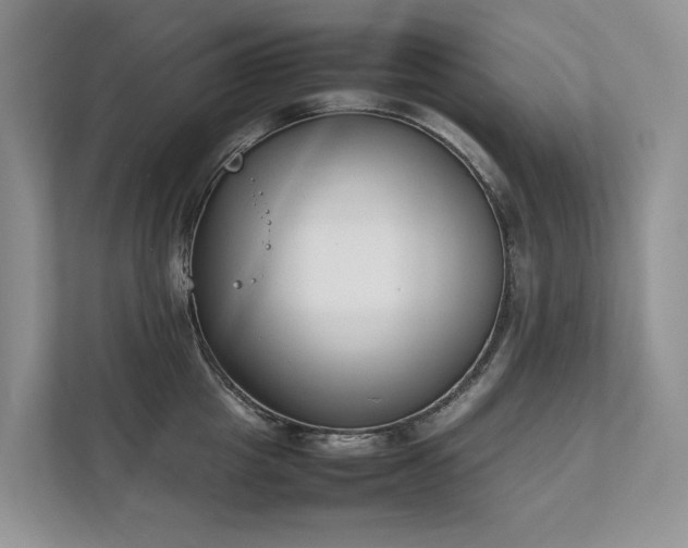X0000111780857200907231121