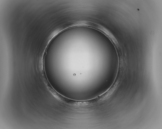 X0000111780858200907231121