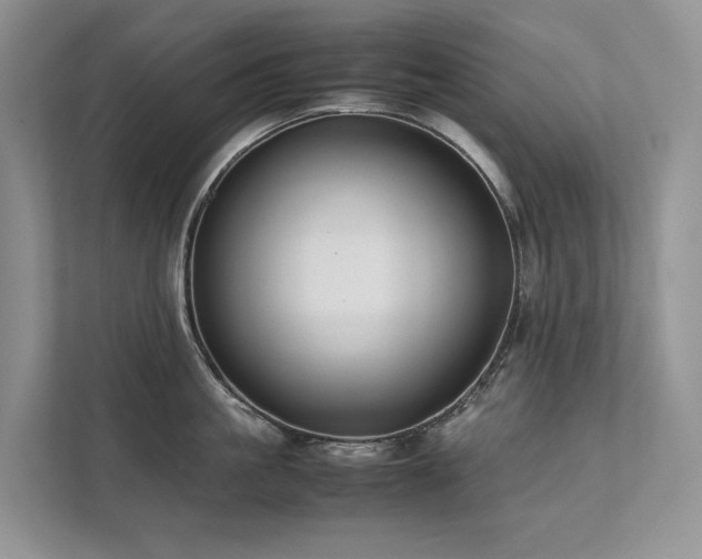 X0000111780861200907231121