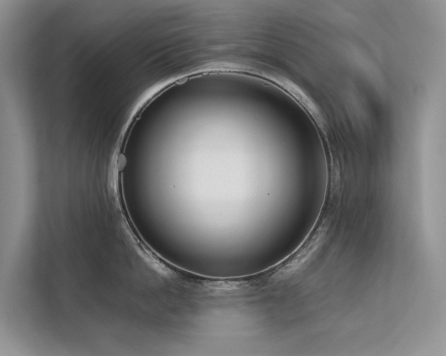 X0000111780862200907231121
