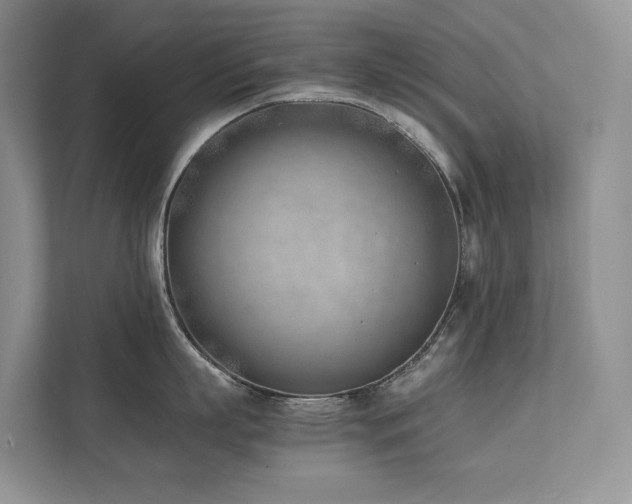 X0000111780863200907231121