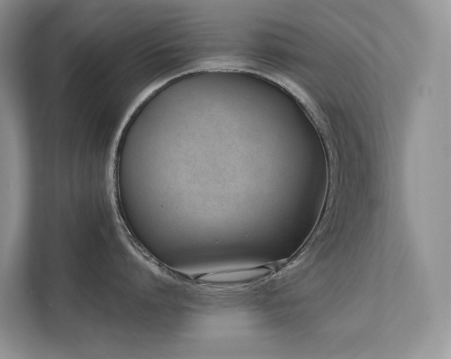 X0000111780864200907231121