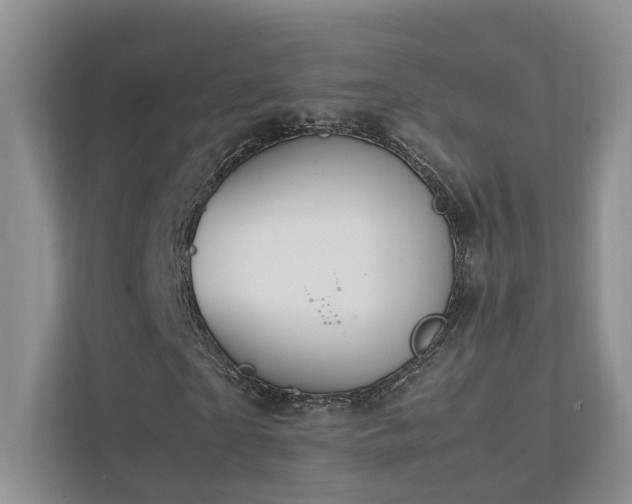 X0000111780865200907231121