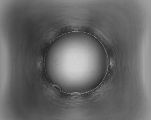 X0000111780867200907231121