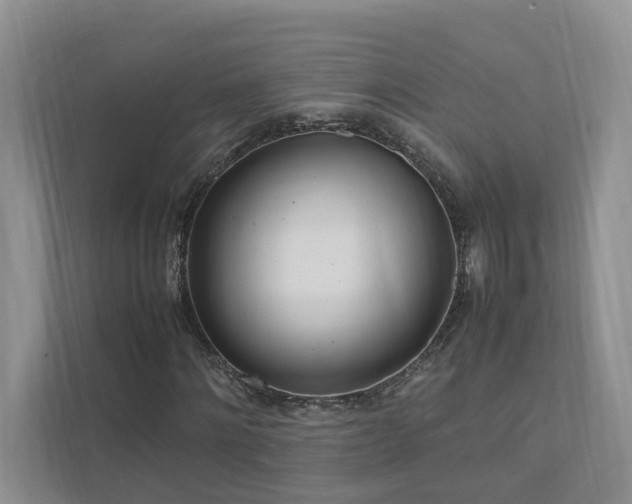 X0000111780868200907231121