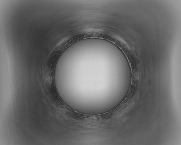X0000111780869200907231121