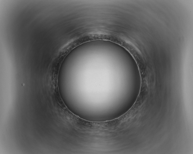 X0000111780870200907231121