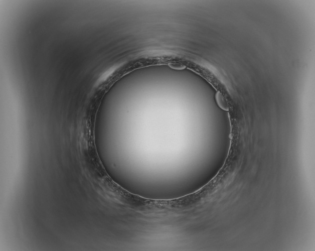 X0000111780871200907231121