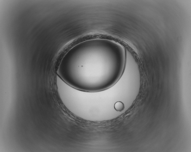 X0000111780872200907231121