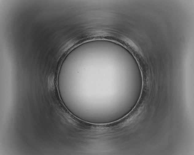 X0000111780873200907231121