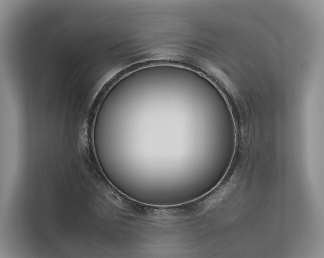 X0000111780875200907231121