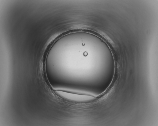 X0000111780877200907231121