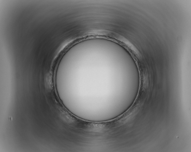 X0000111780878200907231121