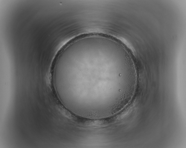 X0000111780879200907231121