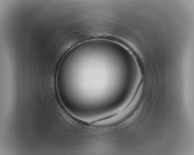 X0000111780881200907231121