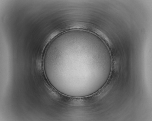 X0000111780882200907231121