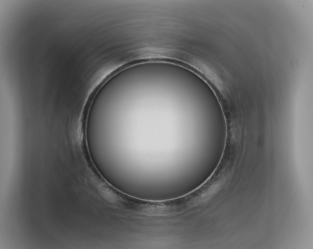 X0000111780885200907231120