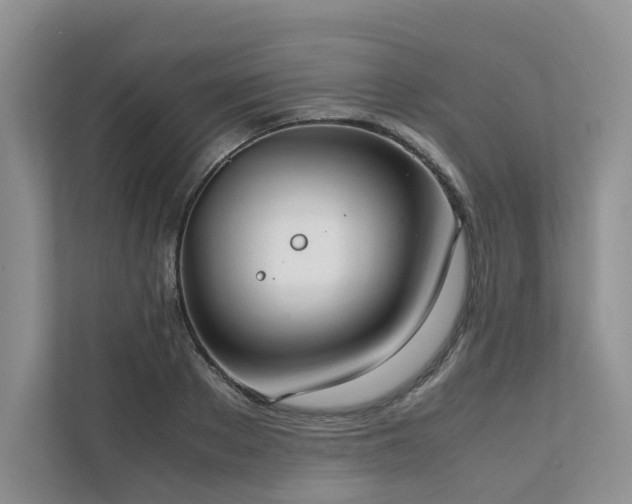 X0000111780889200907231120