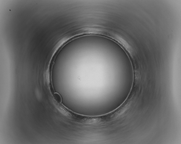 X0000111780891200907231120