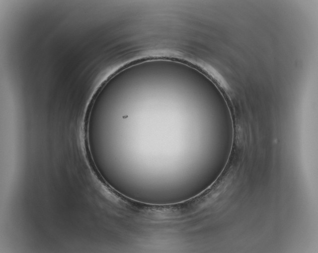 X0000111780895200907231120